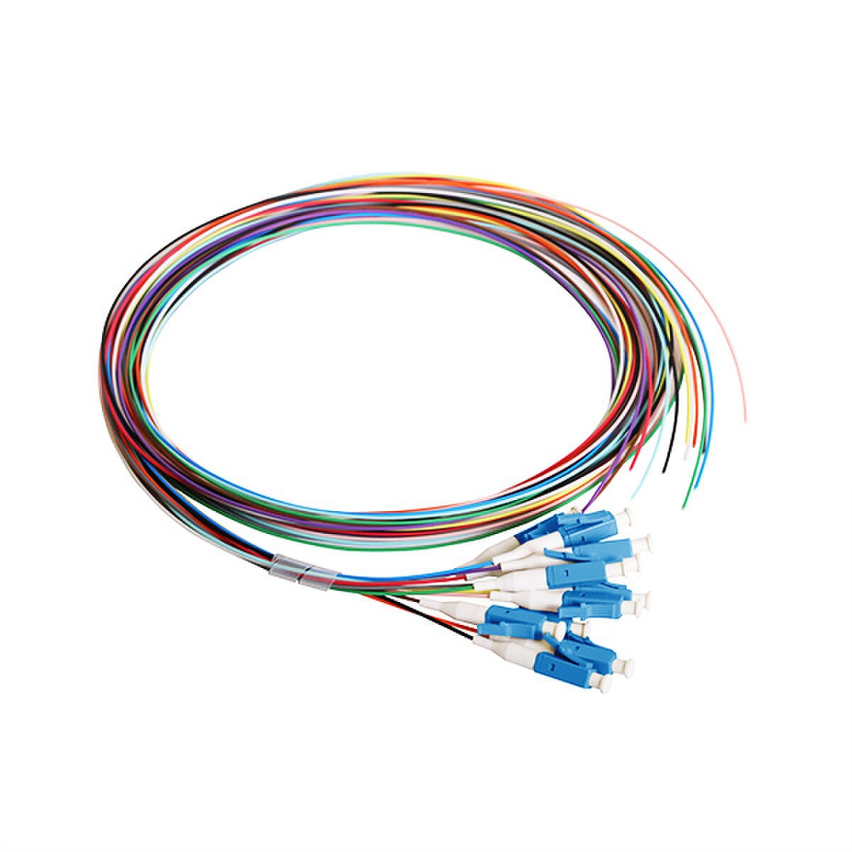 12 Fiber Pigtail, LC/UPC, 900 µm, 9 µm OS2, 3m